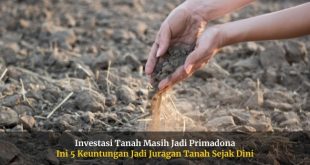 Kelebihan dan Keuntungan Investasi Tanah