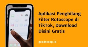 Aplikasi Penghilang Filter Rotoscope di TikTok, Download Disini Gratis
