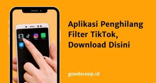 Aplikasi Penghilang Filter TikTok, Download Disini
