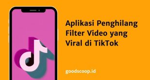 Aplikasi Penghilang Filter Video yang Viral di TikTok